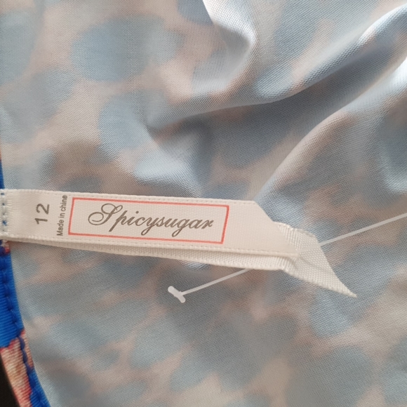 Spicysugar Blue And Pink Dress - Picture 8 of 12